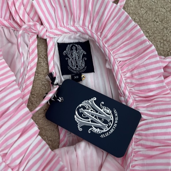 NWT Elizabeth Wilson Designs Liesel Dress Pink Stripe XS - Picture 3 of 4